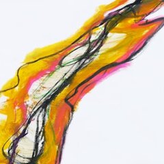 mrrohitchaudharykhair