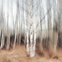 dpehterev_666_