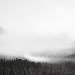 chocolategirl55.nita