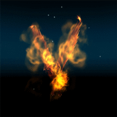 tzxfphoenix